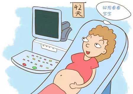 备孕期间的饮食禁忌与推荐