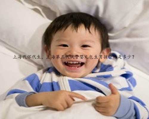 上海代怀代生，上海第三代试管婴儿包生男孩价格是多少？