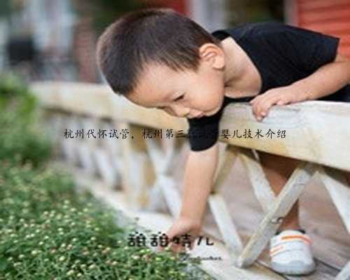 杭州代怀试管，杭州第三代试管婴儿技术介绍