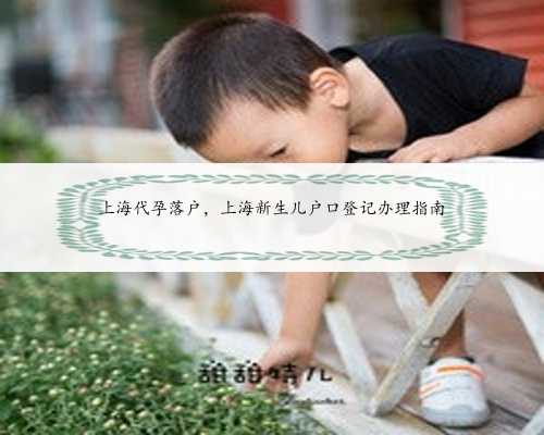 上海代孕落户，上海新生儿户口登记办理指南