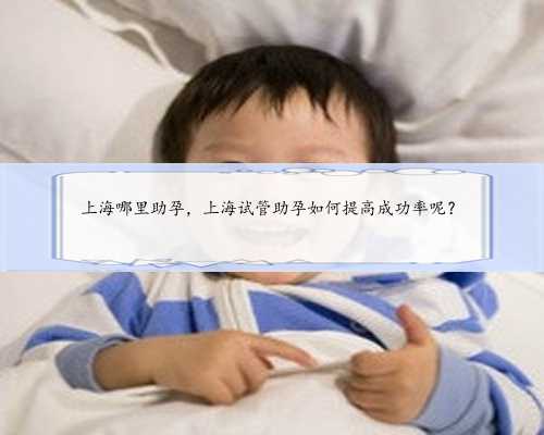 上海哪里助孕，上海试管助孕如何提高成功率呢？
