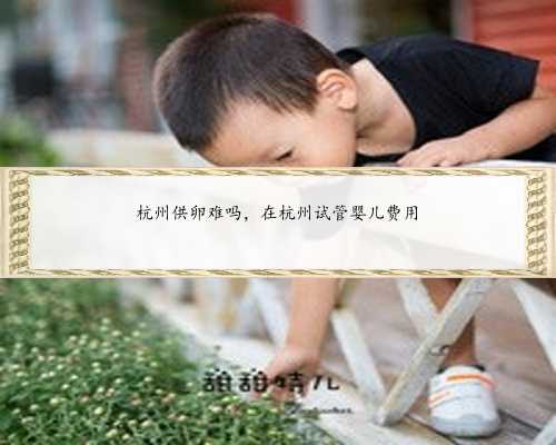 杭州供卵难吗，在杭州试管婴儿费用