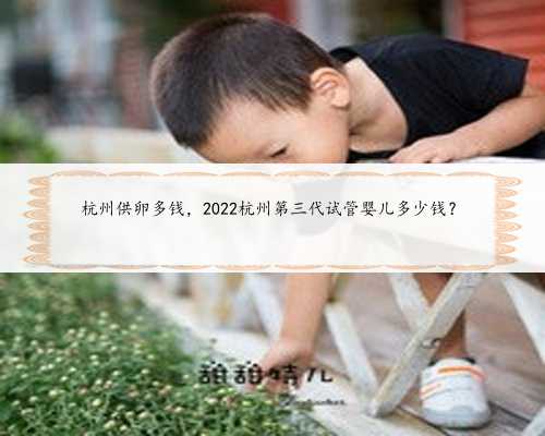 杭州供卵多钱，2022杭州第三代试管婴儿多少钱？