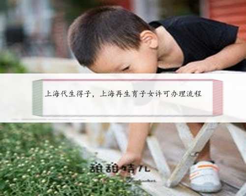 上海代生得子，上海再生育子女许可办理流程