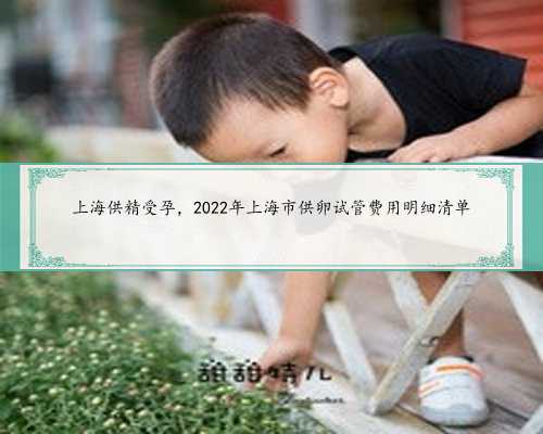 上海供精受孕，2022年上海市供卵试管费用明细清单