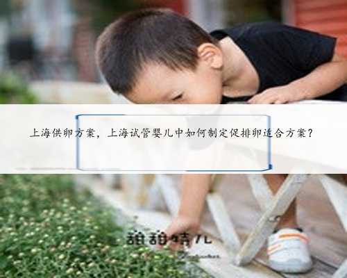 上海供卵方案，上海试管婴儿中如何制定促排卵适合方案？