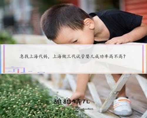 急找上海代妈，上海做三代试管婴儿成功率高不高？