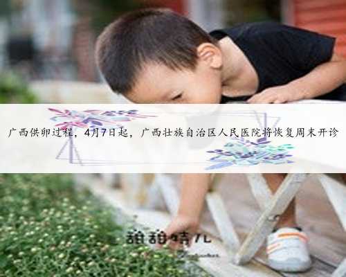 广西供卵过程，4月7日起，广西壮族自治区人民医院将恢复周末开诊