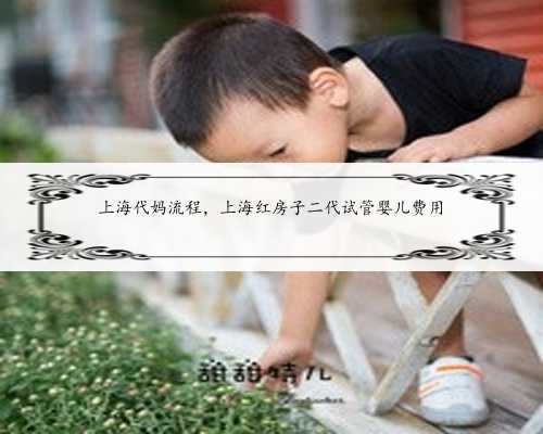 上海代妈流程，上海红房子二代试管婴儿费用