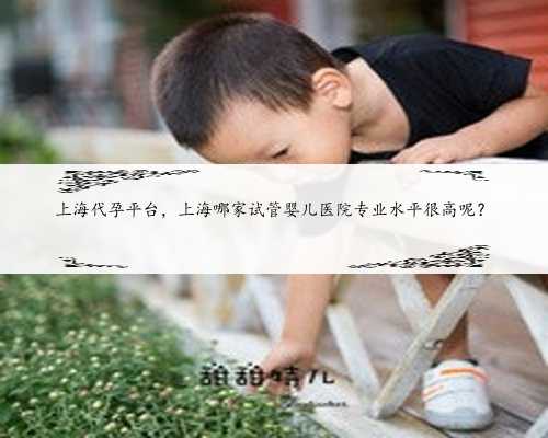 上海代孕平台，上海哪家试管婴儿医院专业水平很高呢？