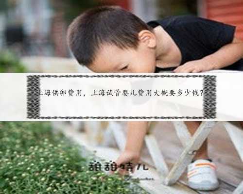 上海供卵费用，上海试管婴儿费用大概要多少钱？