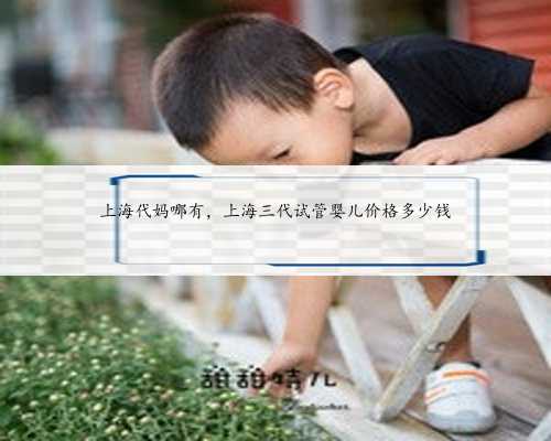 上海代妈哪有，上海三代试管婴儿价格多少钱