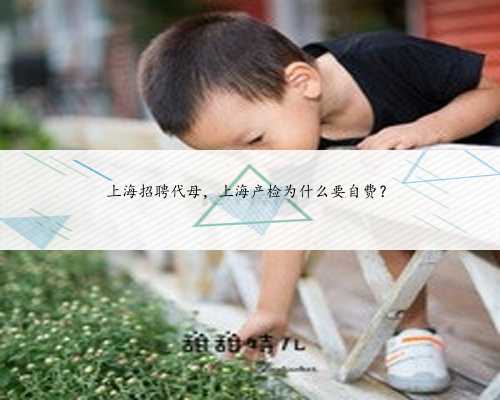 上海招聘代母，上海产检为什么要自费？