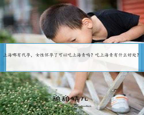 上海哪有代孕，女性怀孕了可以吃上海青吗？吃上海青有什么好处？