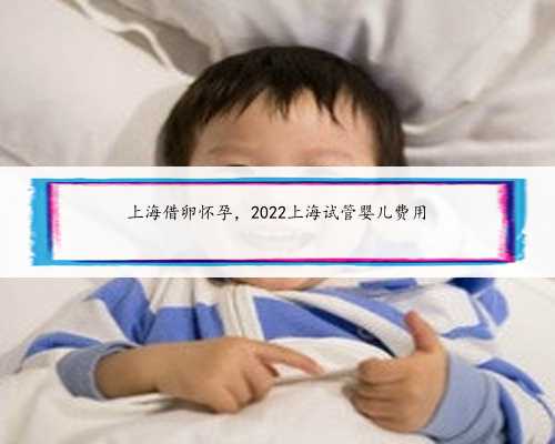 上海借卵怀孕，2022上海试管婴儿费用