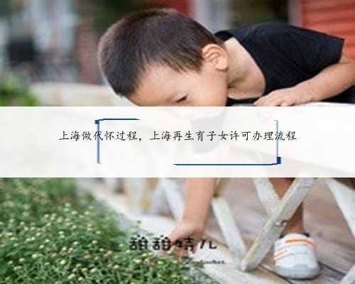 上海做代怀过程，上海再生育子女许可办理流程
