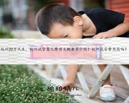 杭州20万代生，杭州试管婴儿费用大概要多少钱？杭州试管费用高吗？