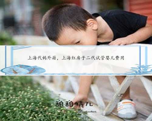 上海代妈外籍，上海红房子二代试管婴儿费用