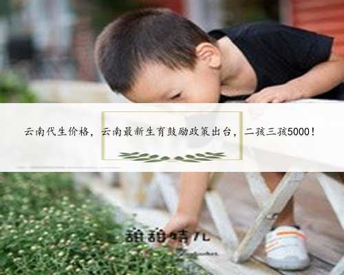 云南代生价格，云南最新生育鼓励政策出台，二孩三孩5000！
