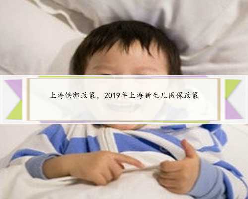 上海供卵政策，2019年上海新生儿医保政策