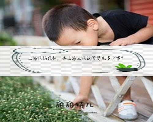 上海代妈代怀，去上海三代试管婴儿多少钱？
