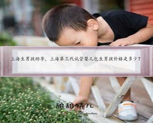 上海生男孩助孕，上海第三代试管婴儿包生男孩价格是多少？