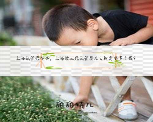 上海试管代怀去，上海做三代试管婴儿大概需要多少钱？