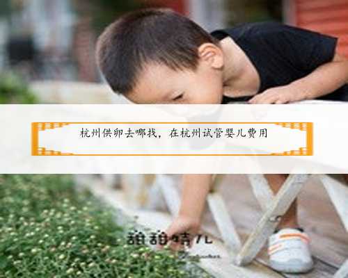 杭州供卵去哪找，在杭州试管婴儿费用