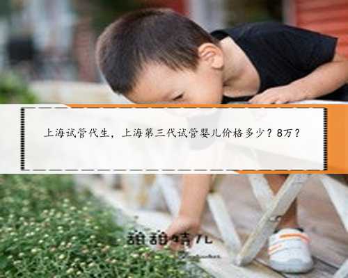 上海试管代生，上海第三代试管婴儿价格多少？8万？