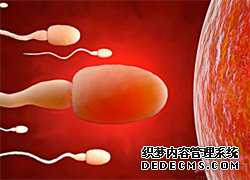 试管代孕报价-供卵试管对血型有要求吗_孕期阴道出血 不可盲目保胎