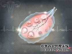 试管代孕信息-促排五个卵泡怀多胞胎_移植后需要注意什么事项？听听专家怎么