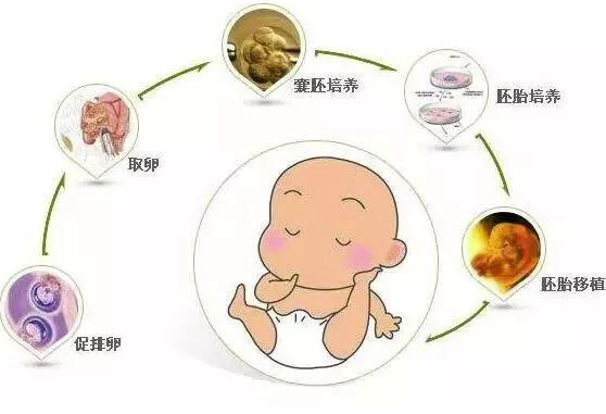 2022余姚试管婴儿医院大全，上海供卵机构助孕策略参考