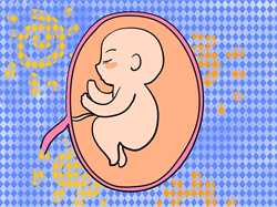 天津供卵试管婴儿代怀,天津一中心做试管婴儿多少钱？