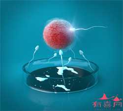 2022北京供卵试管婴儿医院排名，附北京供卵试管生男孩费用和成功率预估