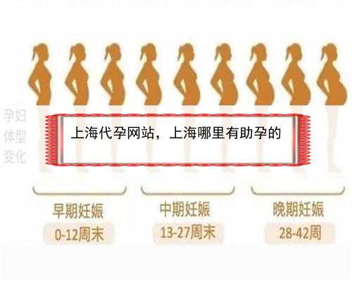 上海代孕网站，上海哪里有助孕的
