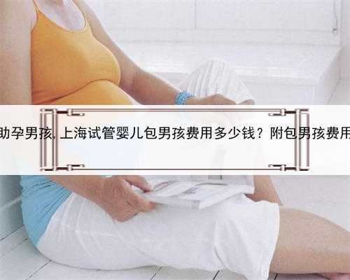 上海助孕男孩,上海试管婴儿包男孩费用多少钱？附包男孩费用明细